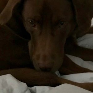 Meet your Posher, Maria